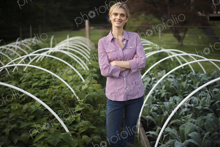 Organic Vegetable Garden