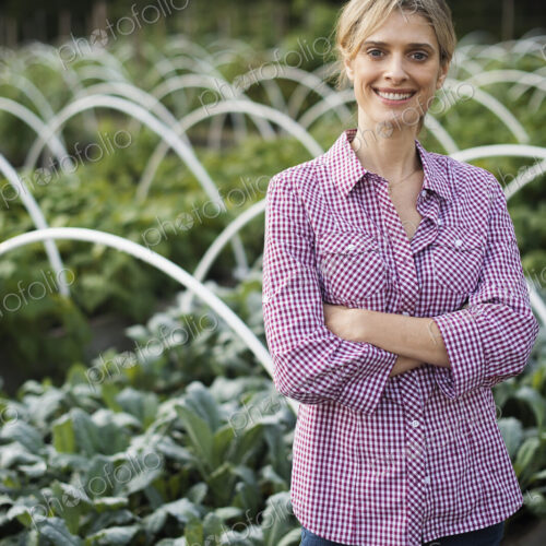 Organic Vegetable Garden Organic Vegetable Garden