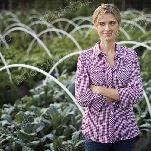 Organic Vegetable Garden Organic Vegetable Garden