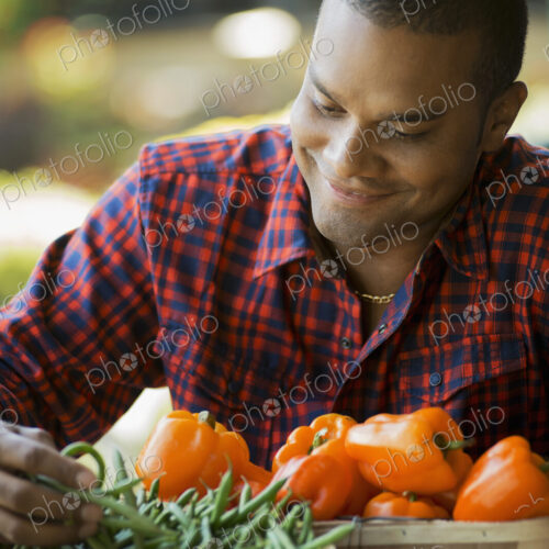 Organic Vegetable on Display with Farmer; Green Beans; Yellow and Red Bell Peppers Organic Vegetable on Display with Farmer; Green Beans; Yellow and Red Bell Peppers
