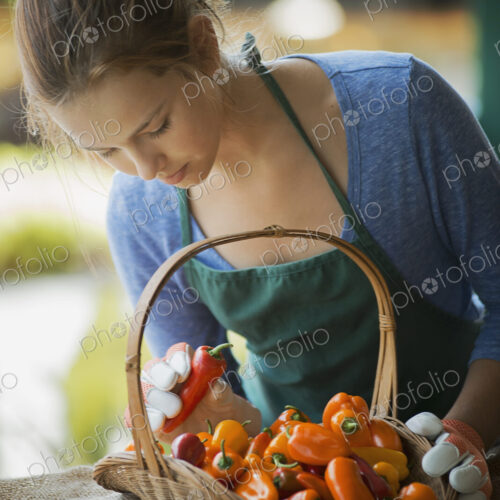 Organic Vegetable on Display with Farmer; Organic Yellow and Red Bell Peppers