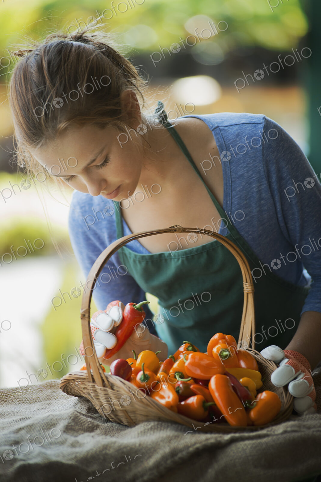 Organic Vegetable on Display with Farmer; Organic Yellow and Red Bell Peppers
