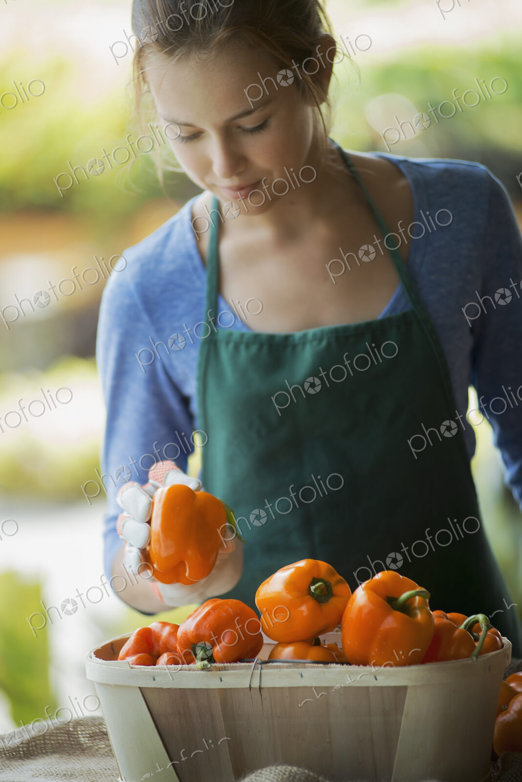 Organic Vegetable on Display with Farmer; Organic Yellow and Red Bell Peppers
