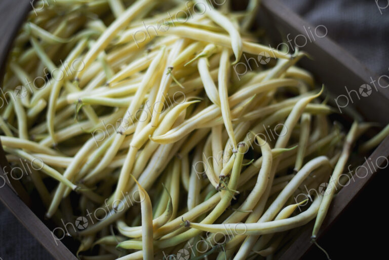 Organic Wax Bean just harvested