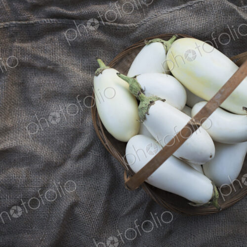 Organic White Eggplants just harvested Organic White Eggplants just harvested