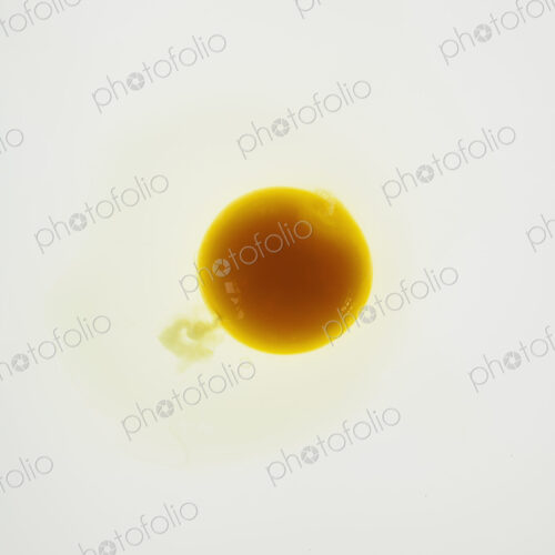Organic egg on white background Organic egg on white background