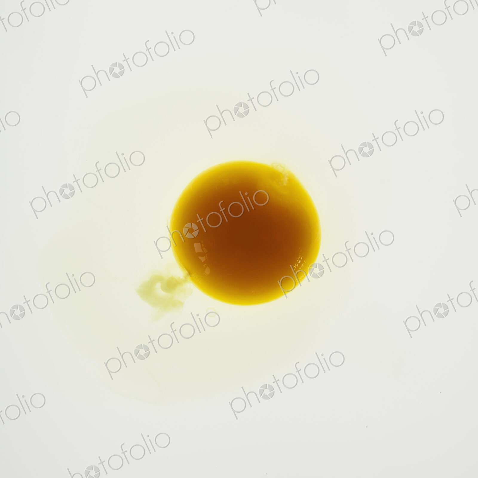 Organic egg on white background