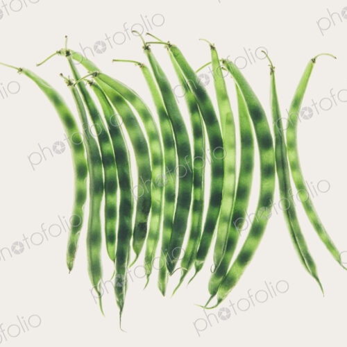 Organic green string beans on white background