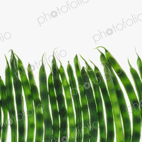 Organic green string beans on white background Organic green string beans on white background