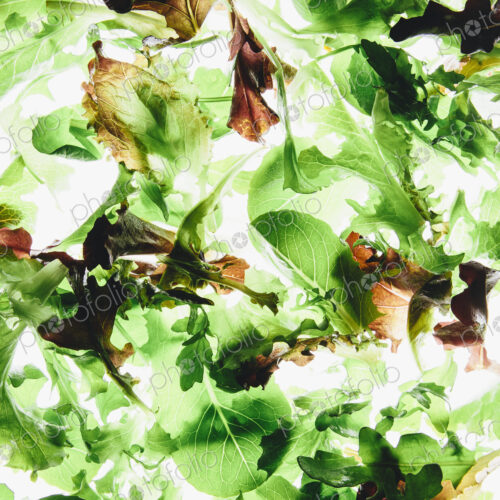 Organic mixed salad greens on white background