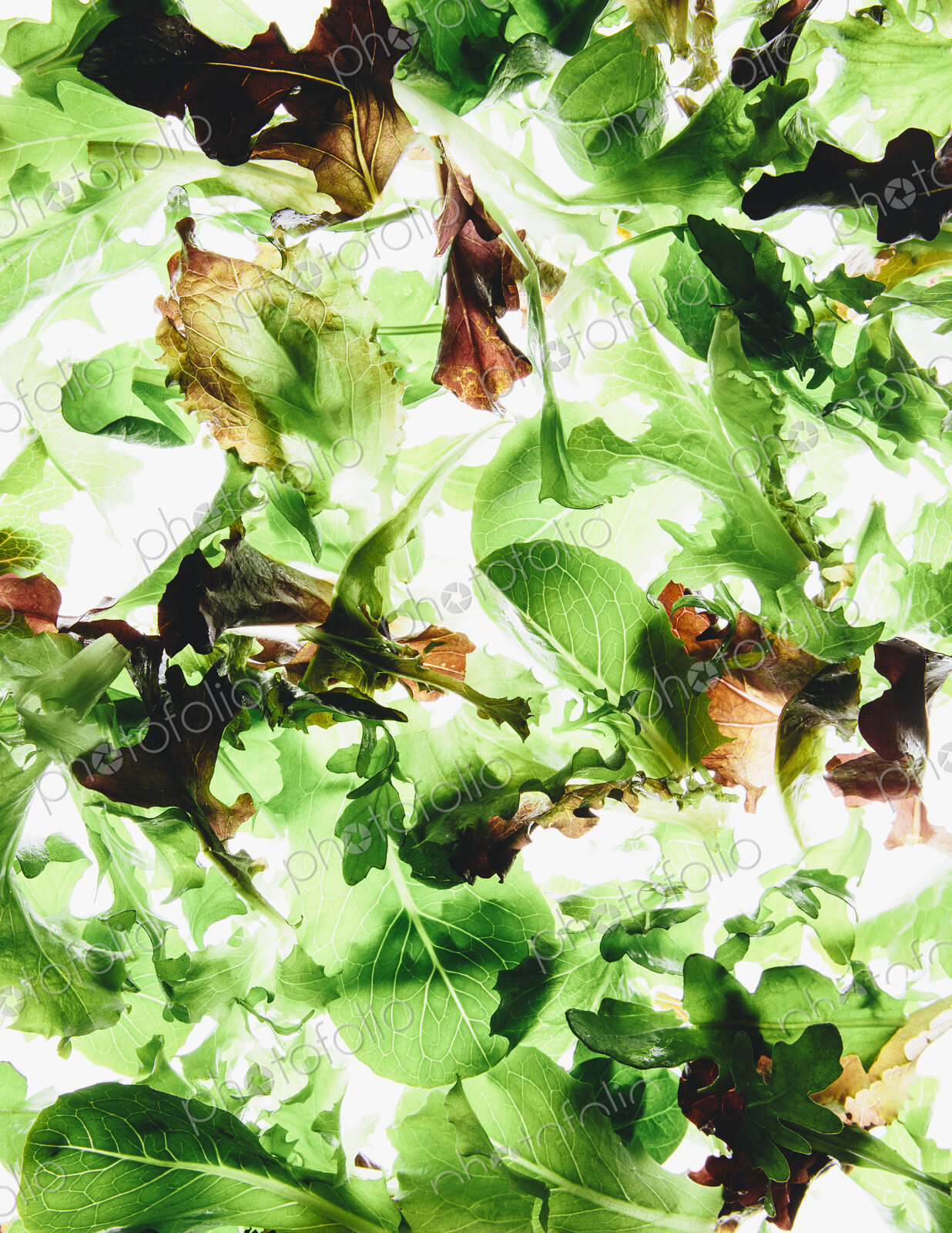Organic mixed salad greens on white background