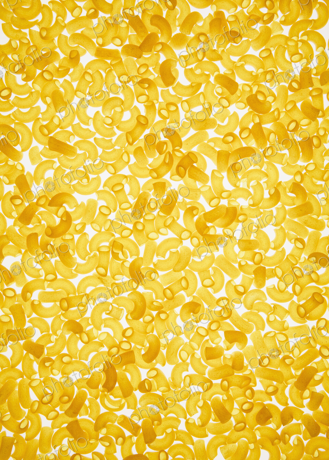Organic quinoa macaroni pasta elbows, white background (pasta is gluten free)