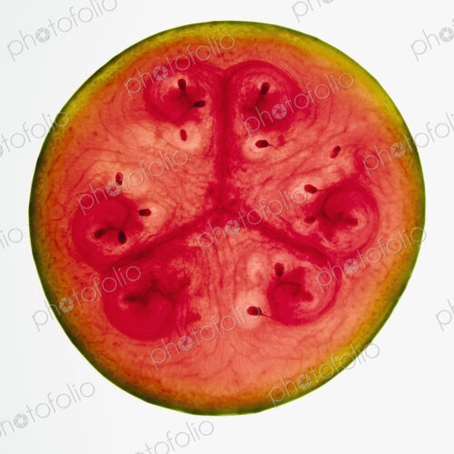Organic watermelon slice