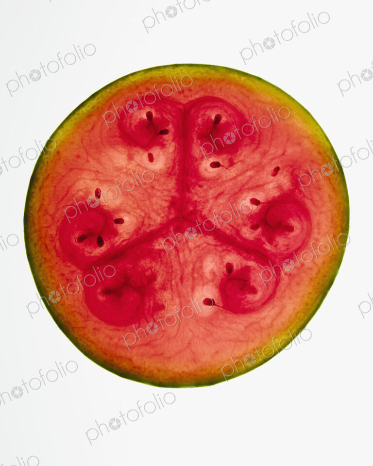 Organic watermelon slice