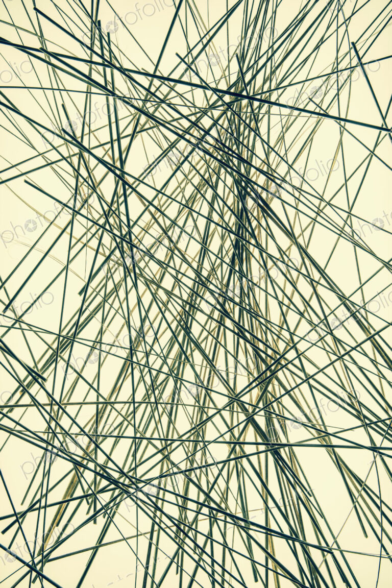 Ornamental green grass stems on a yellow background.