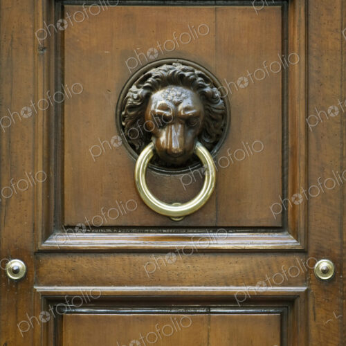 Ornate Door Knocker Ornate Door Knocker