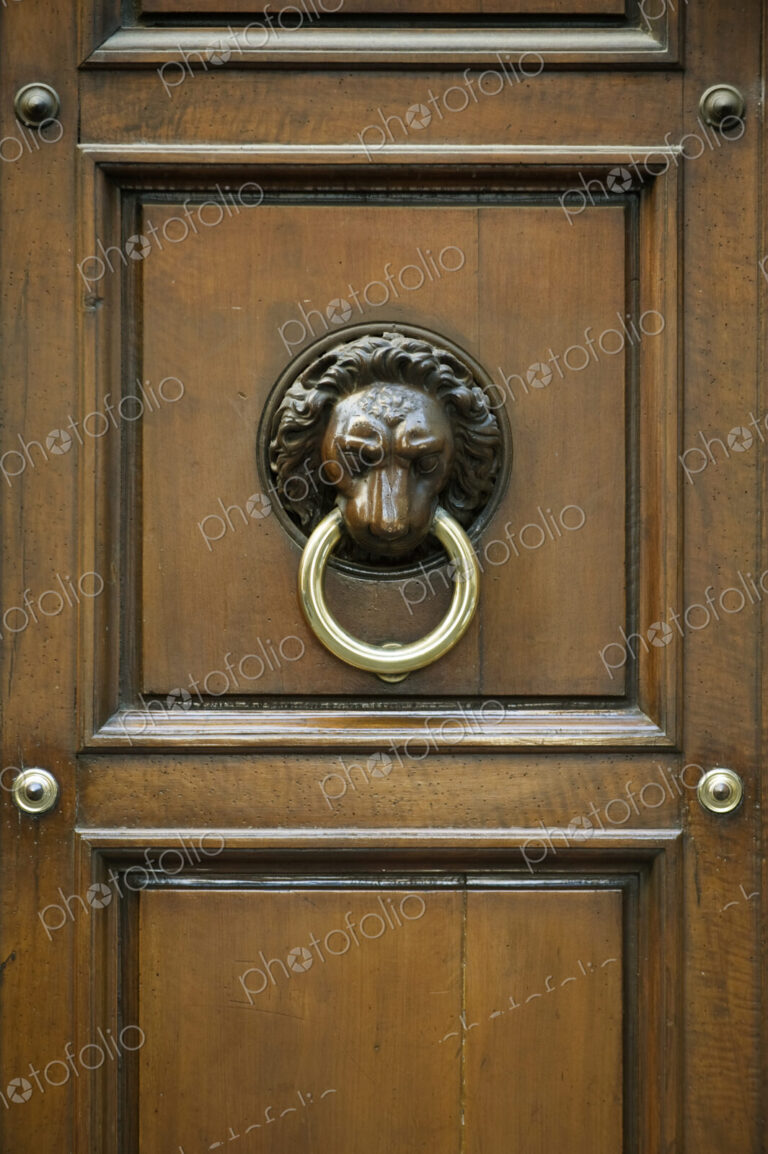 Ornate Door Knocker