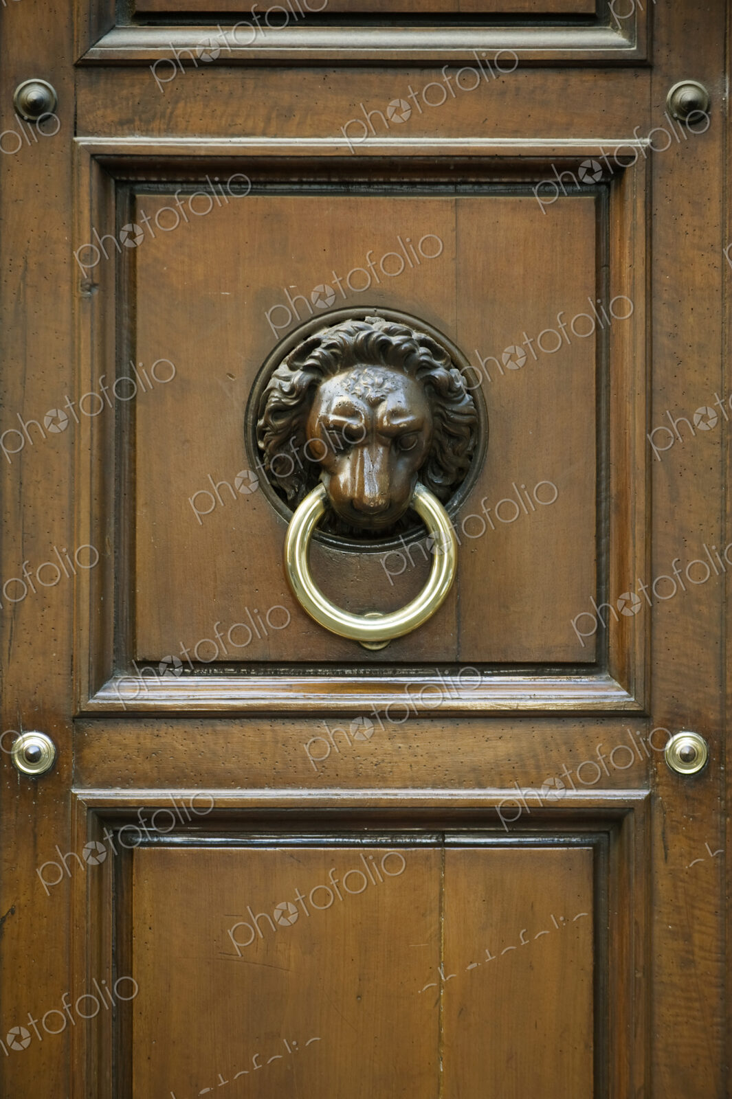 Ornate Door Knocker
