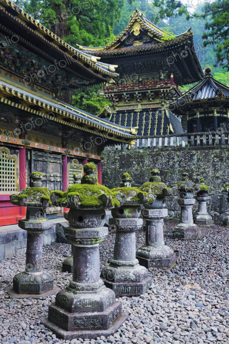 Ornate Toshogu Shrine