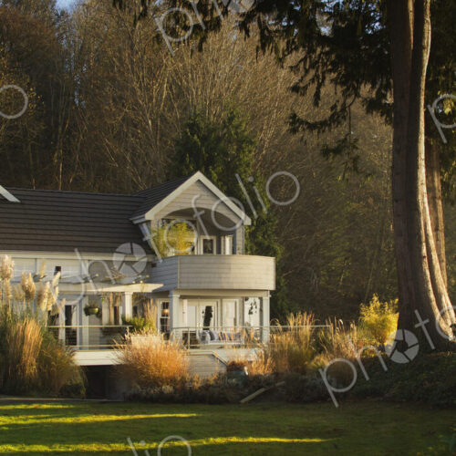 Ornate house and backyard near rural forest Ornate house and backyard near rural forest