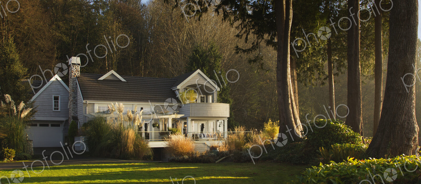 Ornate house and backyard near rural forest