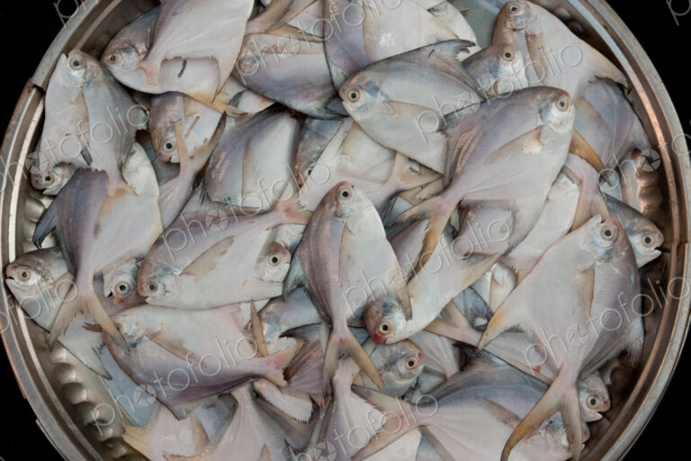 Outdoor market stall in Yangon, Myanmar. Fresh fish in a basket.