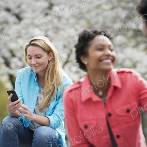 Outdoors in New York City in spring time. New York City park. White blossom on the…