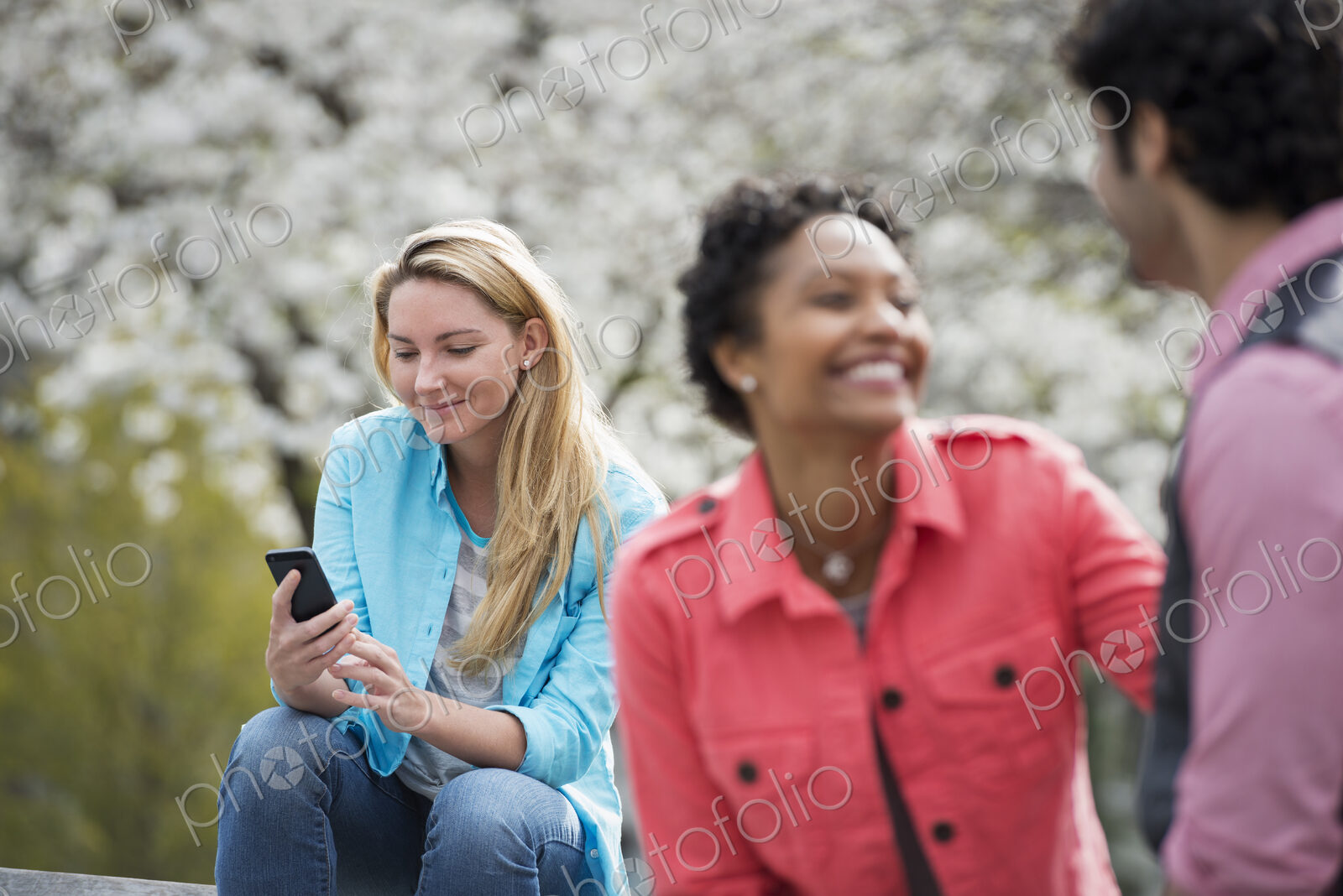 Outdoors in New York City in spring time. New York City park. White blossom on the…
