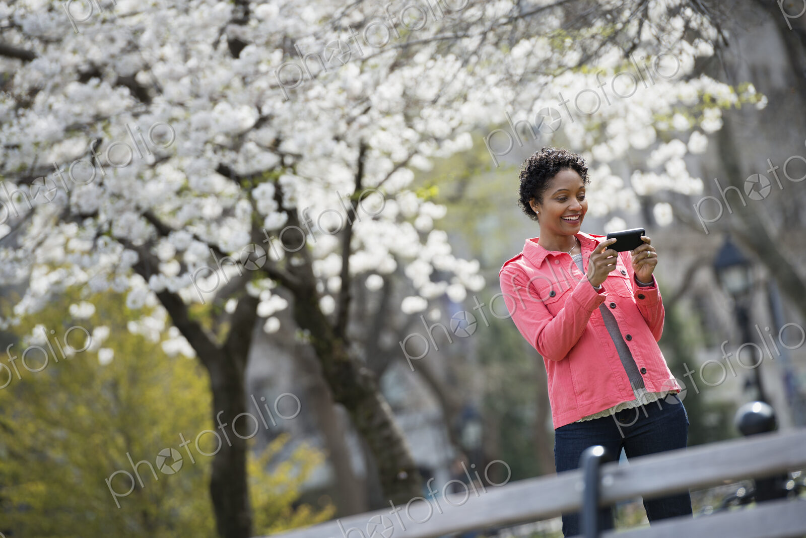 Outdoors in the city in spring time. New York City park. White blossom on the trees. A…