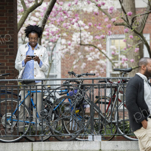 Outdoors in the city in spring. An urban lifestyle. A bicycle rack with locked…