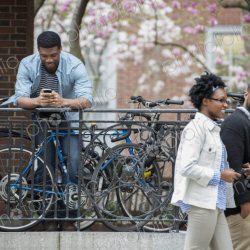 Outdoors in the city in spring. An urban lifestyle. A bicycle rack with locked… Outdoors in the city in spring. An urban lifestyle. A bicycle rack with locked…
