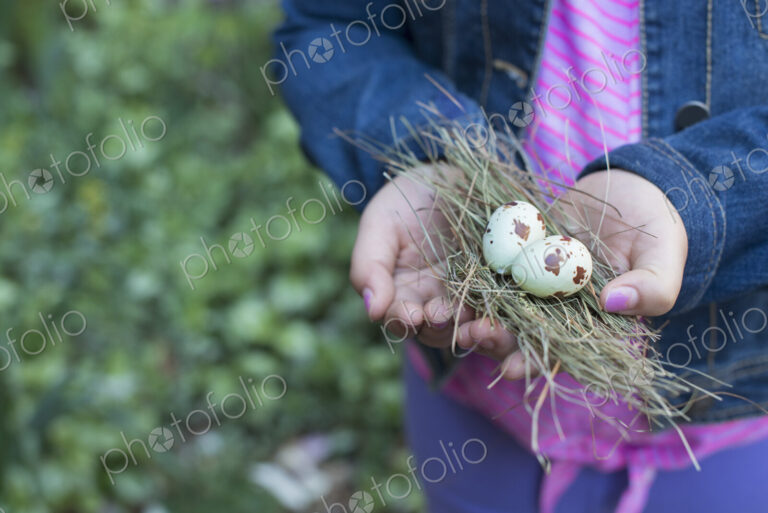 Outdoors in the city in spring. An urban lifestyle. A girl holding out cupped hands,…