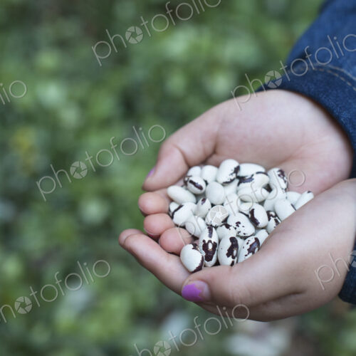 Outdoors in the city in spring. An urban lifestyle. A girl holding out cupped hands,… Outdoors in the city in spring. An urban lifestyle. A girl holding out cupped hands,…