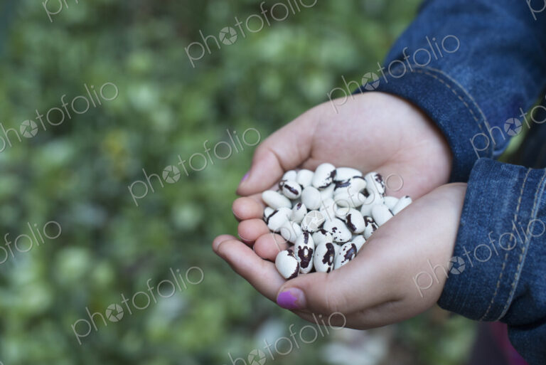 Outdoors in the city in spring. An urban lifestyle. A girl holding out cupped hands,…