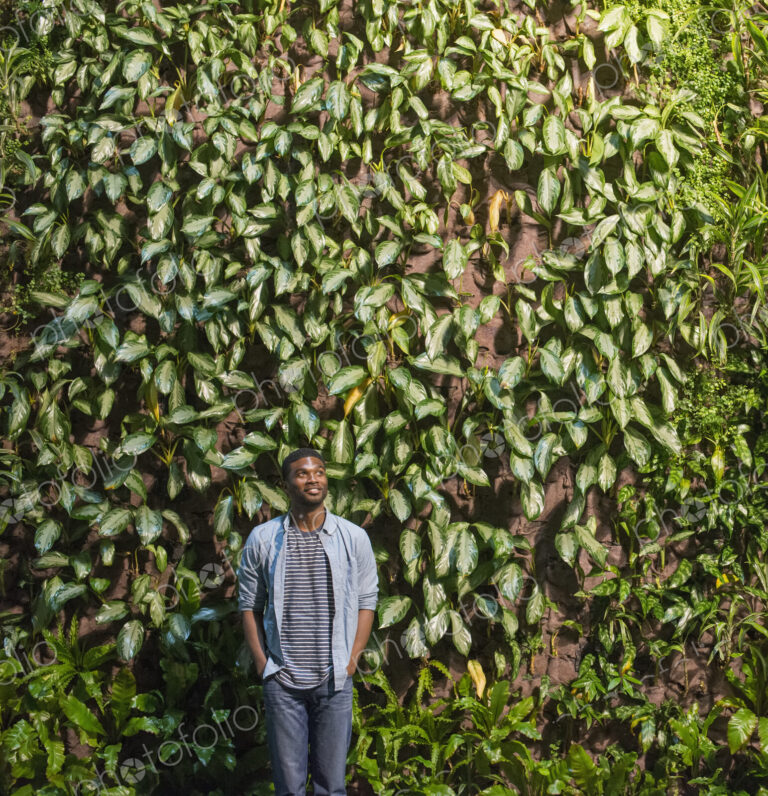 Outdoors in the city in spring. An urban lifestyle. A man looking up at a high wall…