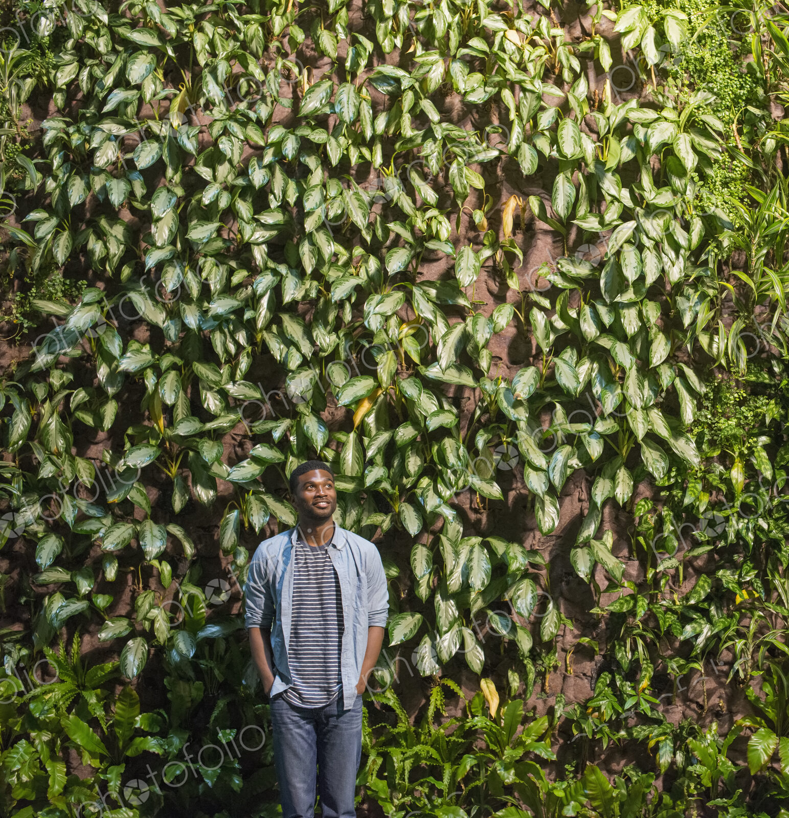 Outdoors in the city in spring. An urban lifestyle. A man looking up at a high wall…
