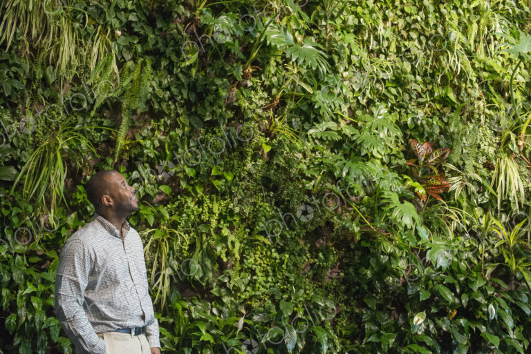 Outdoors in the city in spring. An urban lifestyle. A man looking up at the lush…