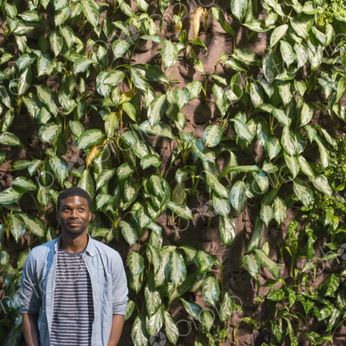 Outdoors in the city in spring. An urban lifestyle. A man standing in front of a wall…