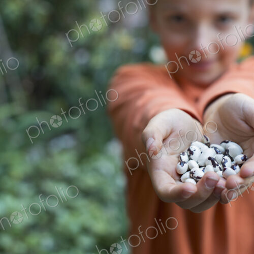 Outdoors in the city in spring. An urban lifestyle. A young boy holding out a handful… Outdoors in the city in spring. An urban lifestyle. A young boy holding out a handful…