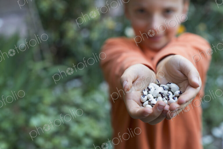 Outdoors in the city in spring. An urban lifestyle. A young boy holding out a handful…