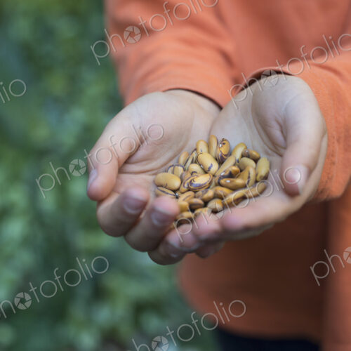 Outdoors in the city in spring. An urban lifestyle. A young boy holding out a handful… Outdoors in the city in spring. An urban lifestyle. A young boy holding out a handful…