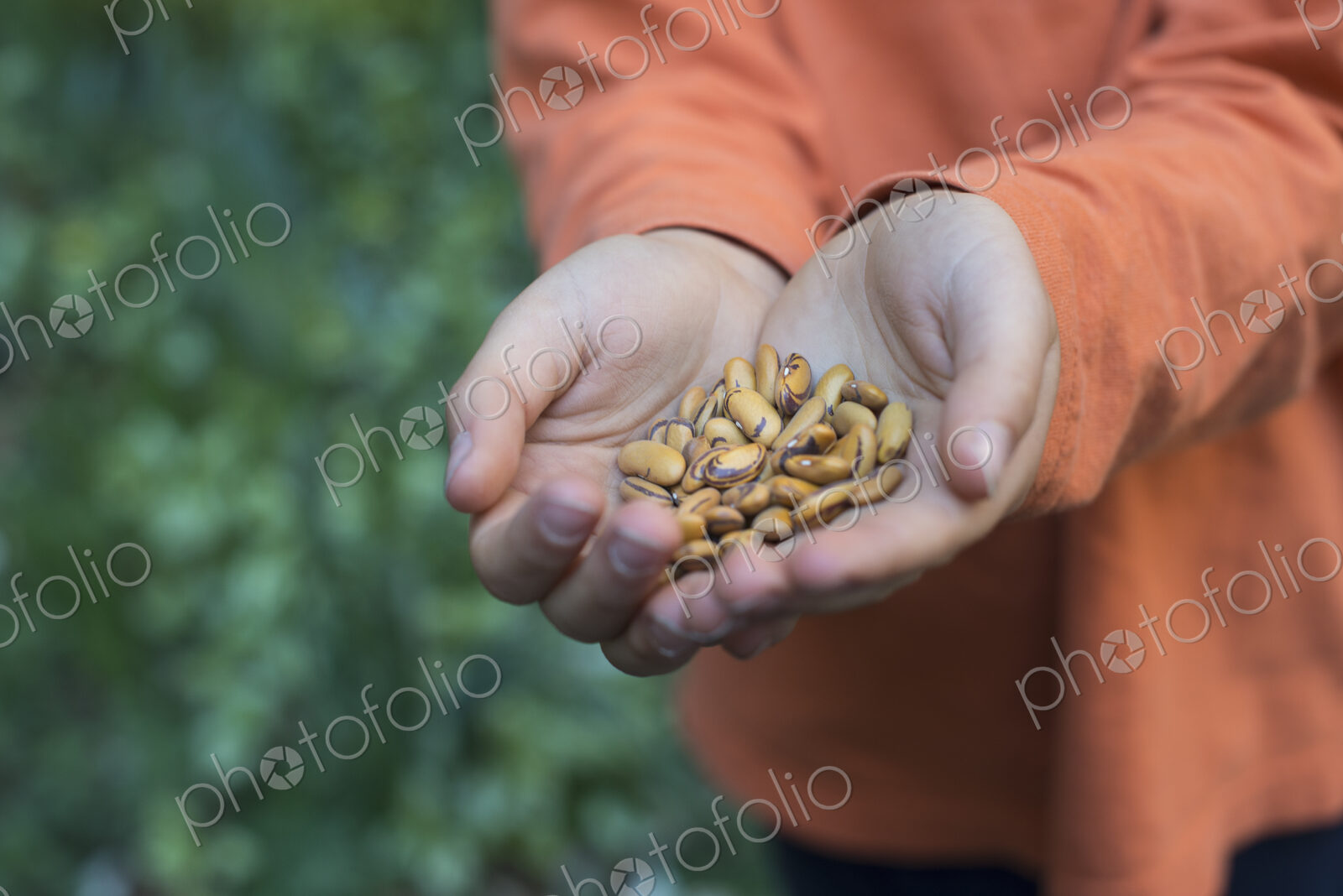 Outdoors in the city in spring. An urban lifestyle. A young boy holding out a handful…