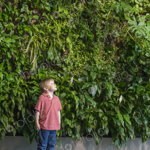 Outdoors in the city in spring. An urban lifestyle. A young boy looking up at a wall…