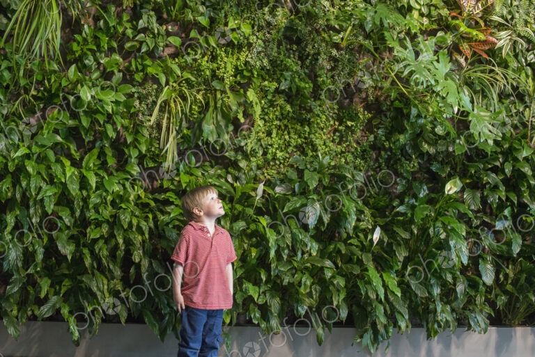 Outdoors in the city in spring. An urban lifestyle. A young boy looking up at a wall…