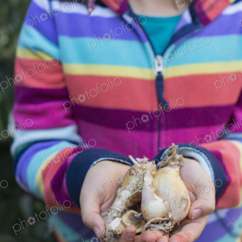 Outdoors in the city in spring. An urban lifestyle. A young girl holding a small… Outdoors in the city in spring. An urban lifestyle. A young girl holding a small…