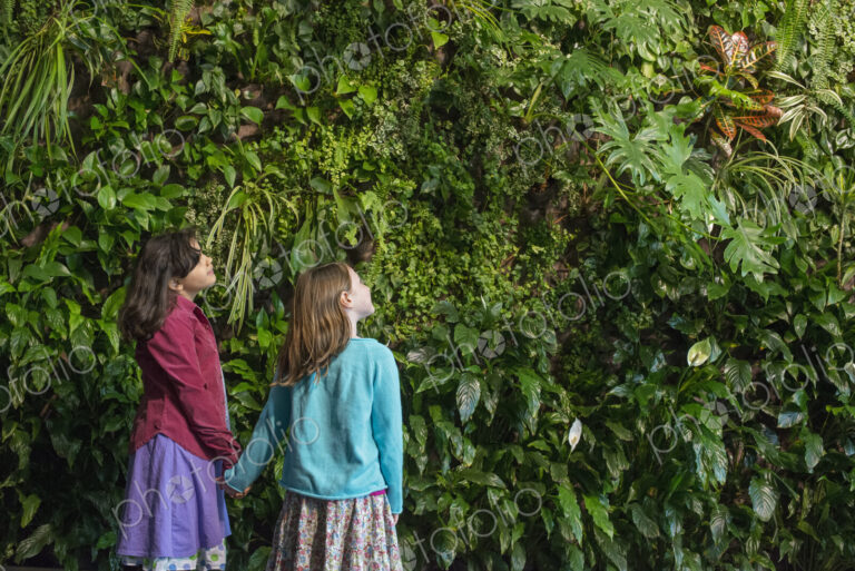 Outdoors in the city in spring. An urban lifestyle. Two children holding hands and…