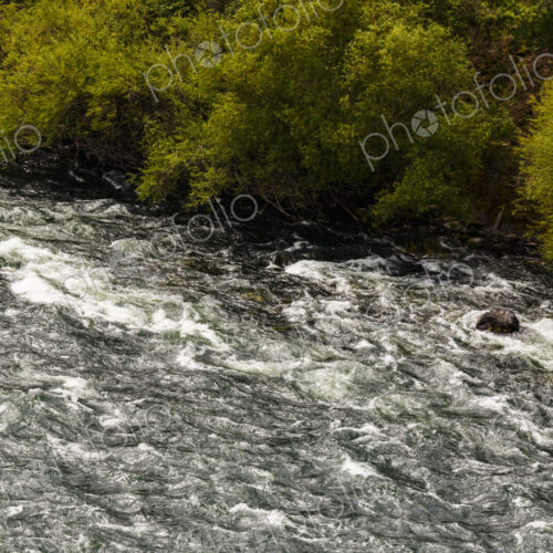 Overhead view of the Spokane River flowing fast over rocks and trees on the banks. Overhead view of the Spokane River flowing fast over rocks and trees on the banks.