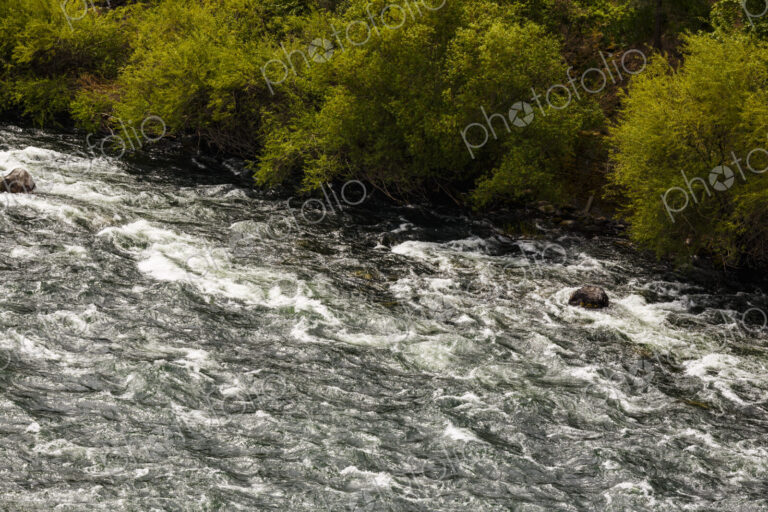 Overhead view of the Spokane River flowing fast over rocks and trees on the banks.