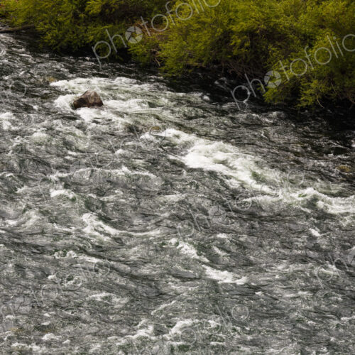 Overhead view of the Spokane River flowing fast over rocks and trees on the banks. Overhead view of the Spokane River flowing fast over rocks and trees on the banks.