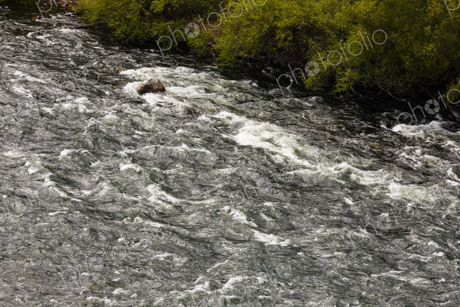 Overhead view of the Spokane River flowing fast over rocks and trees on the banks.